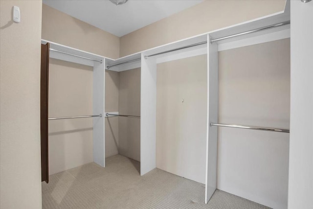 spacious closet with light colored carpet