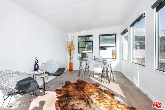 office featuring a wealth of natural light and light hardwood / wood-style flooring