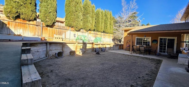 view of yard featuring a patio