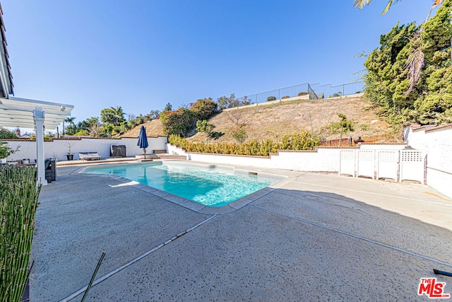 view of swimming pool with a patio area