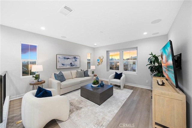 living room with hardwood / wood-style flooring