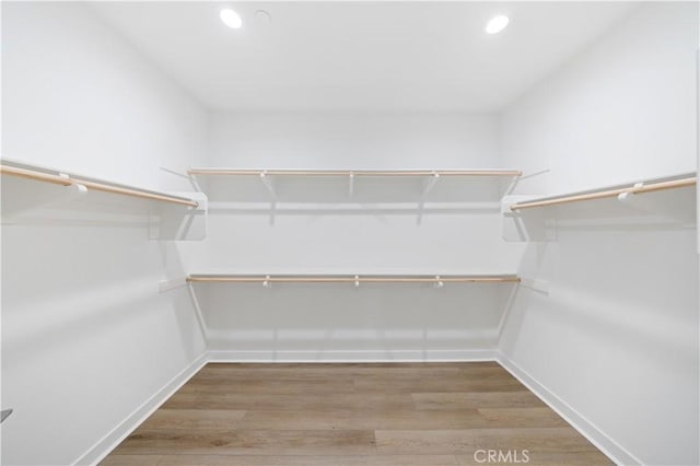 walk in closet with wood-type flooring