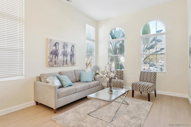 living room featuring hardwood / wood-style flooring