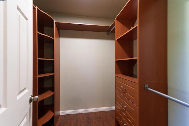 walk in closet with dark hardwood / wood-style floors