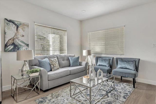 living room with hardwood / wood-style flooring