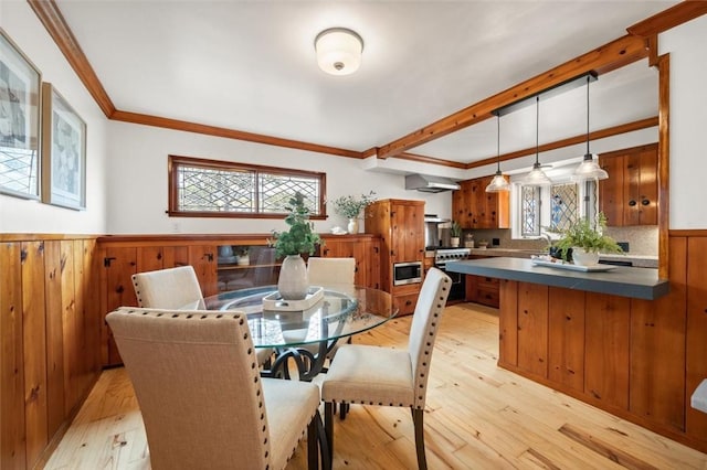 dining room featuring ornamental molding, a healthy amount of sunlight, and light hardwood / wood-style floors