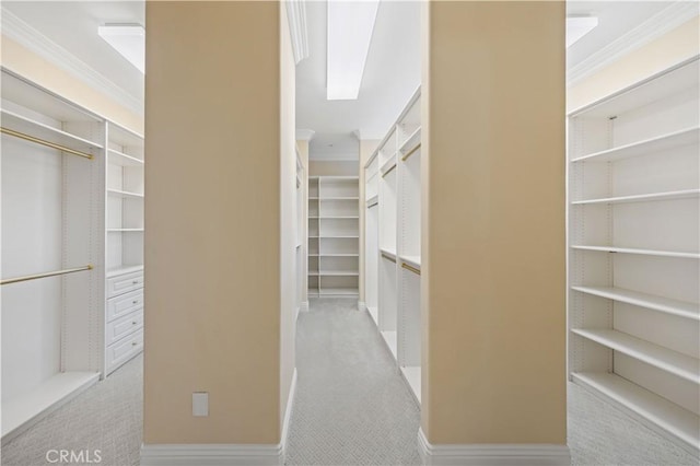 spacious closet featuring light colored carpet