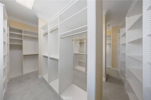 spacious closet with light carpet