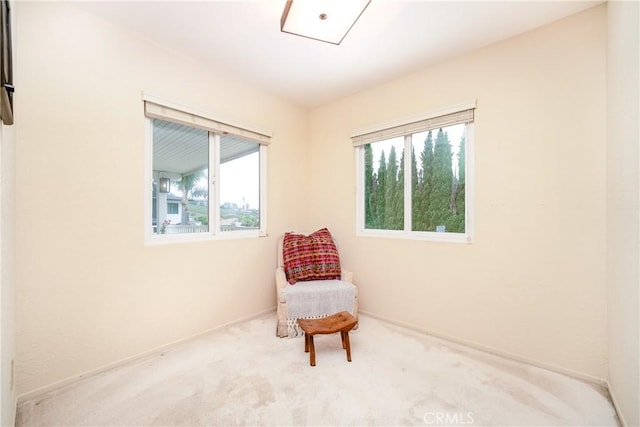 sitting room featuring light carpet