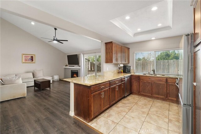 kitchen featuring a healthy amount of sunlight, a tray ceiling, stainless steel dishwasher, and kitchen peninsula