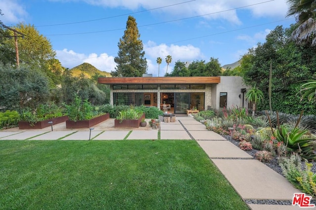 rear view of property with a patio, a mountain view, and a lawn