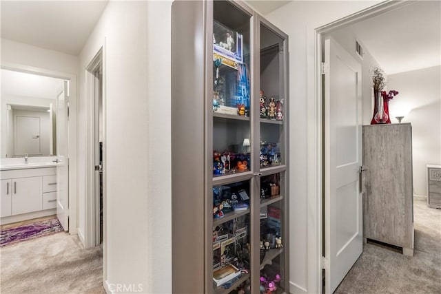 pantry featuring sink