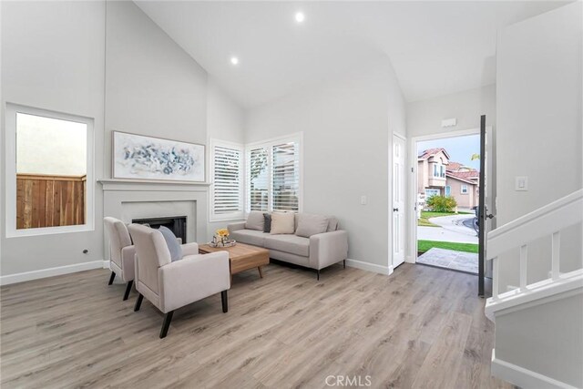 living room featuring high vaulted ceiling and light hardwood / wood-style flooring