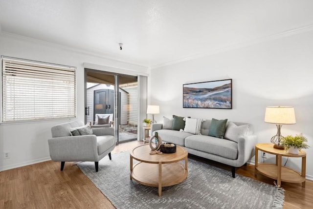 living room featuring hardwood / wood-style flooring and crown molding