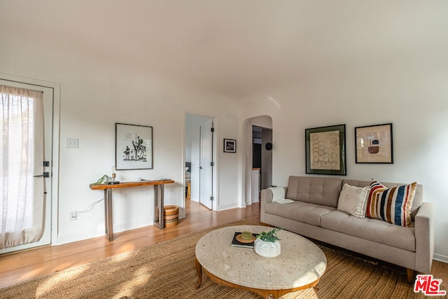 living room featuring hardwood / wood-style flooring