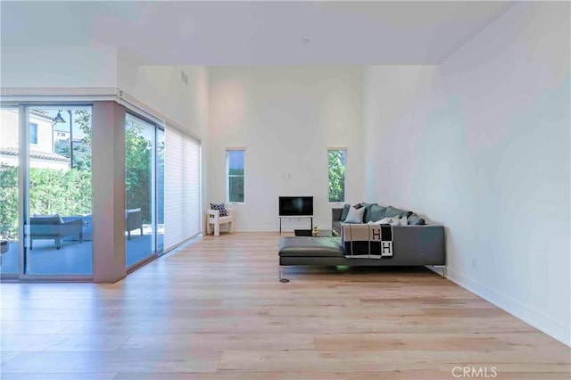 living room with light hardwood / wood-style flooring