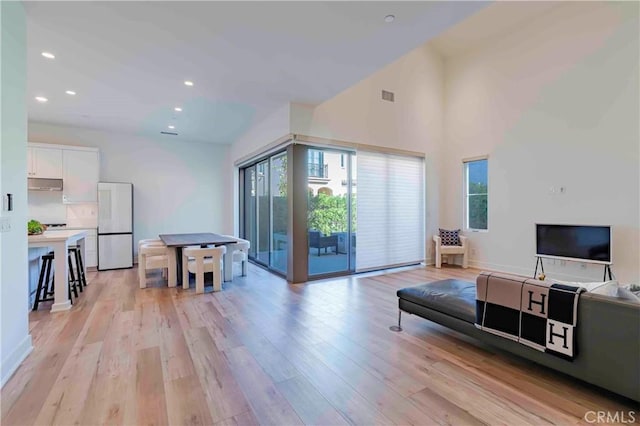 living room featuring light hardwood / wood-style flooring