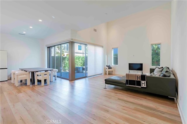 living room with light wood-type flooring