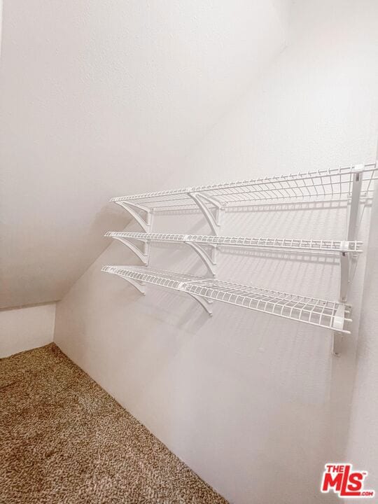 spacious closet featuring carpet floors and vaulted ceiling