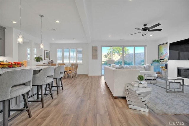 living room featuring light wood-type flooring