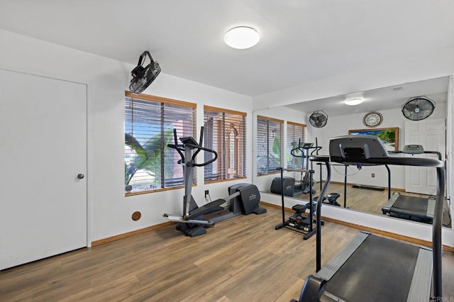 workout room featuring hardwood / wood-style floors