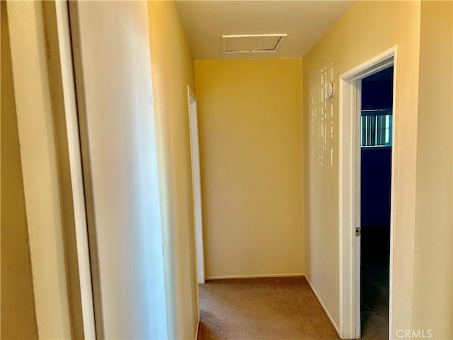 hallway with carpet floors