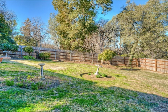 view of yard featuring a fenced backyard