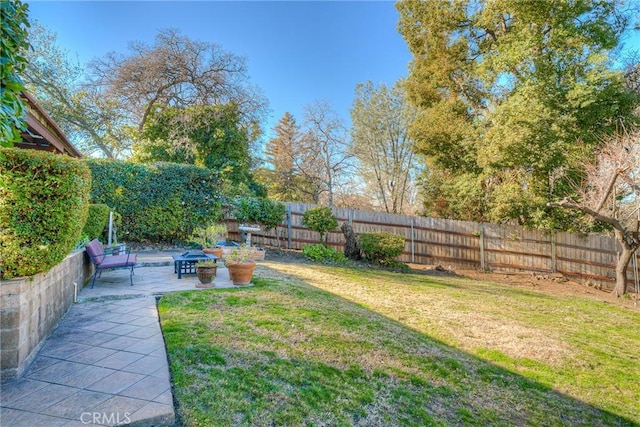 view of yard with a patio area and a fenced backyard