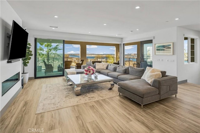 living room featuring light hardwood / wood-style flooring and plenty of natural light