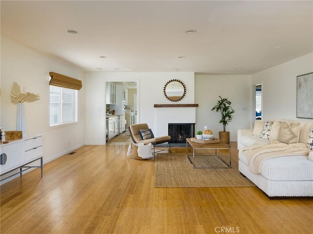 living room with light hardwood / wood-style flooring