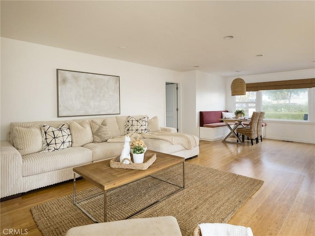 living room featuring hardwood / wood-style floors