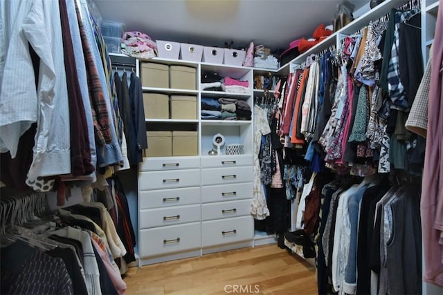 spacious closet with light wood-type flooring