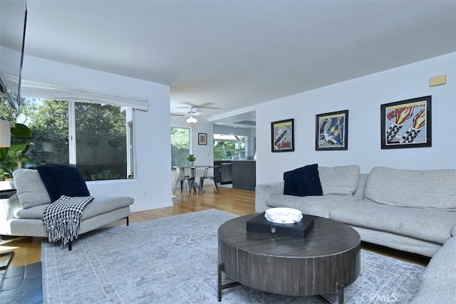 living room featuring ceiling fan and hardwood / wood-style floors