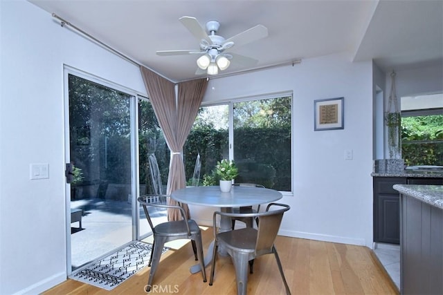 dining space featuring ceiling fan and light hardwood / wood-style flooring