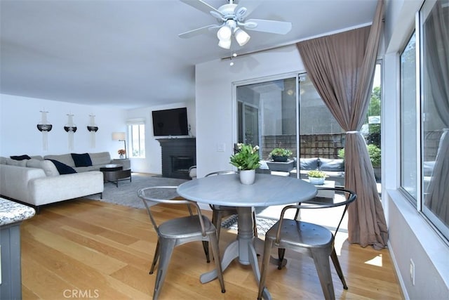 dining area featuring light wood-type flooring, ceiling fan, and a fireplace