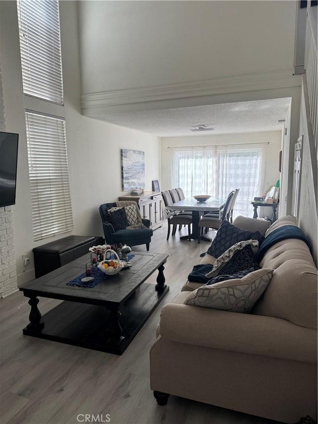 living room with a textured ceiling and hardwood / wood-style floors