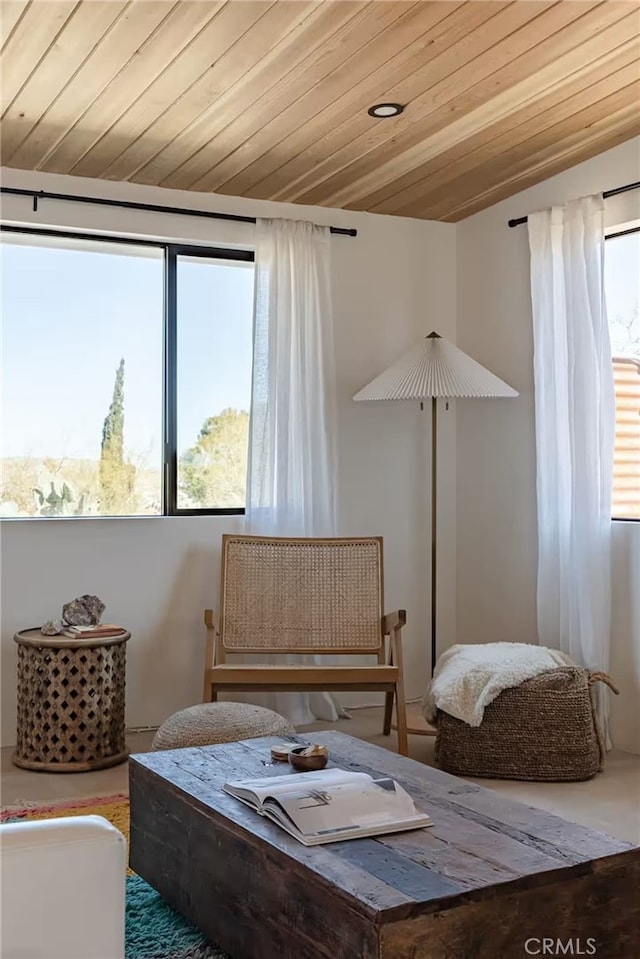 living area featuring plenty of natural light and wood ceiling