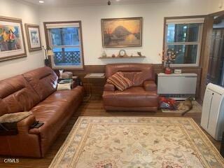 living room with hardwood / wood-style floors and radiator heating unit