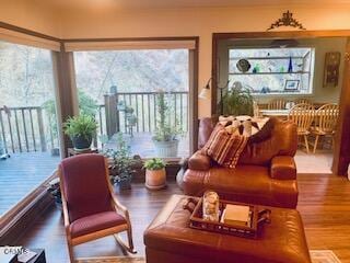 living room with hardwood / wood-style flooring and a healthy amount of sunlight