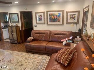 living room featuring hardwood / wood-style flooring