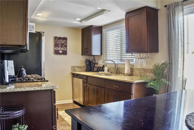 kitchen with stainless steel dishwasher, light hardwood / wood-style floors, sink, plenty of natural light, and a tray ceiling