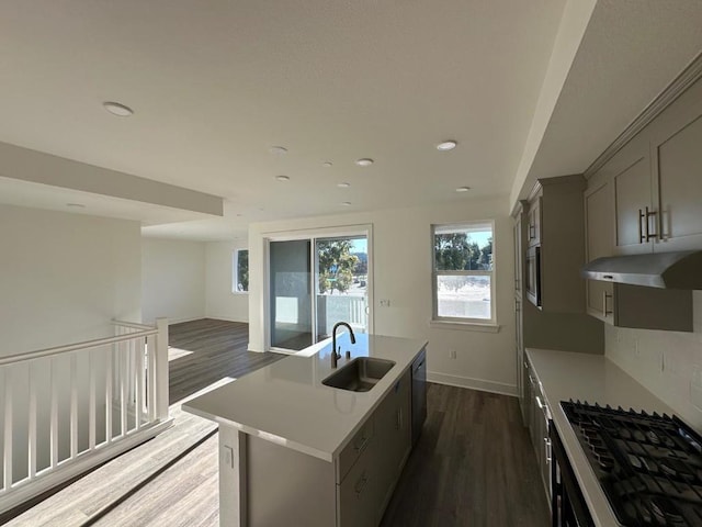 kitchen with black dishwasher, sink, gray cabinetry, dark hardwood / wood-style flooring, and a center island with sink