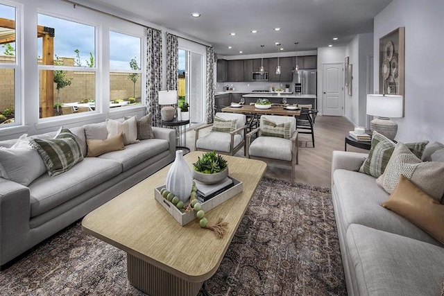 living room featuring hardwood / wood-style flooring