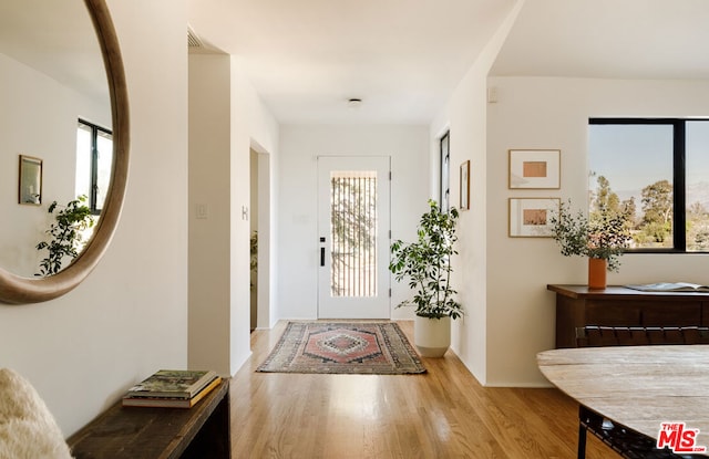 entrance foyer with light wood-type flooring