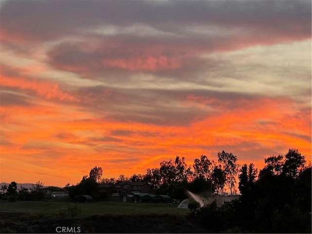 view of nature at dusk