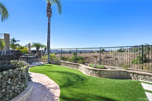 view of yard with a patio area