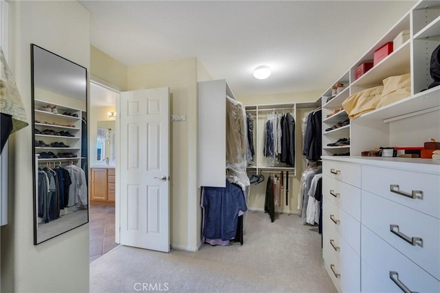 spacious closet featuring light colored carpet