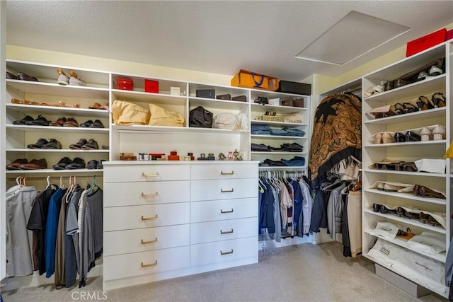 spacious closet featuring light colored carpet