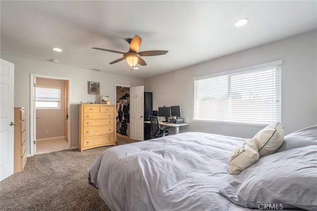 bedroom with a walk in closet, carpet floors, a closet, and ceiling fan