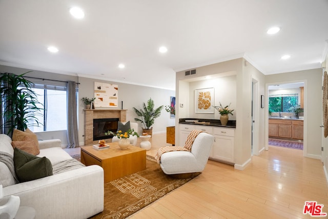 living room featuring light wood-type flooring, ornamental molding, and sink